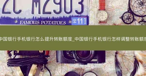 中国银行手机银行怎么提升转账额度_中国银行手机银行怎样调整转账额度