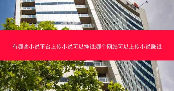 有哪些小说平台上传小说可以挣钱;哪个网站可以上传小说赚钱