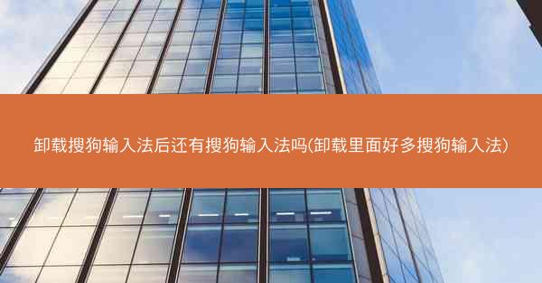 卸载搜狗输入法后还有搜狗输入法吗(卸载里面好多搜狗输入法)