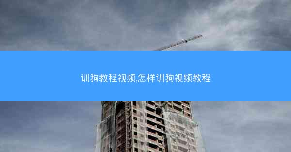 训狗教程视频,怎样训狗视频教程