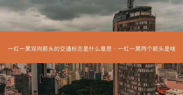 一红一黑双向箭头的交通标志是什么意思、一红一黑两个箭头是啥
