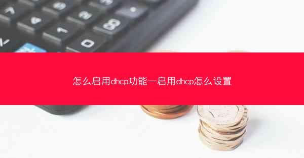 怎么启用dhcp功能—启用dhcp怎么设置