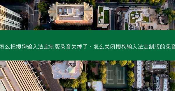 怎么把搜狗输入法定制版录音关掉了、怎么关闭搜狗输入法定制版的录音