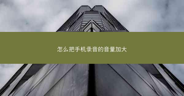 怎么把手机录音的音量加大