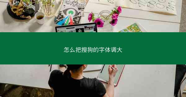 怎么把搜狗的字体调大