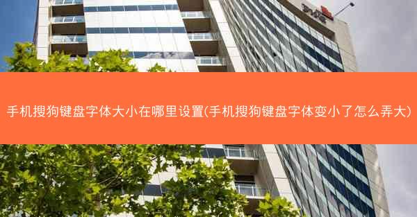 手机搜狗键盘字体大小在哪里设置(手机搜狗键盘字体变小了怎么弄大)