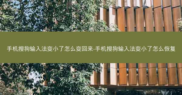 手机搜狗输入法变小了怎么变回来-手机搜狗输入法变小了怎么恢复
