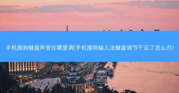 手机搜狗键盘声音在哪里调(手机搜狗输入法键盘调节不见了怎么办)