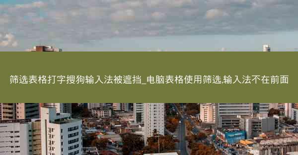 筛选表格打字搜狗输入法被遮挡_电脑表格使用筛选,输入法不在前面